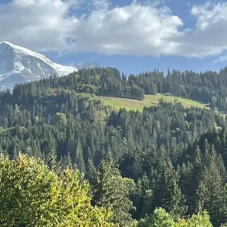 Le Gl'assie Lägenhet *